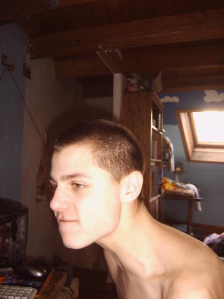 sven